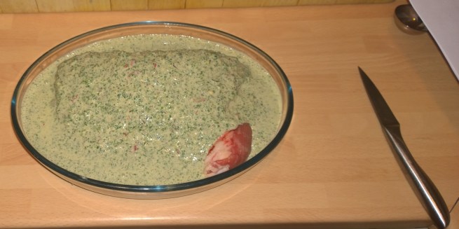 WP_20140302_10_23_14_Pro