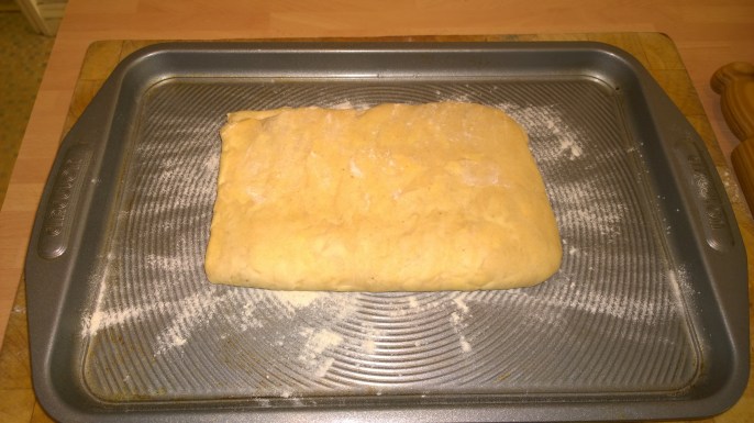 WP_20140323_16_09_54_Pro