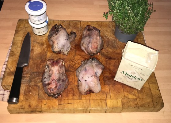 Photo 10-11-2018, 11 41 27