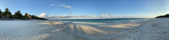 Photo 08-12-2019, 22 23 41